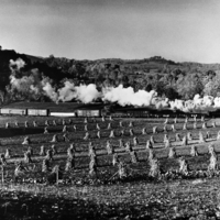 Virginia Creeper Railway &quot;Mollie&quot; (Class M) Steam 